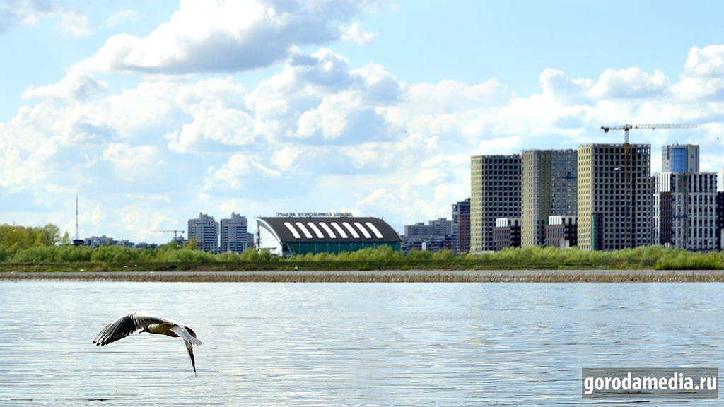 Только чайка свободна в полёте над Казанкой-рекой. И ветер! Фото: Игорь Галиев/agazeta.ru