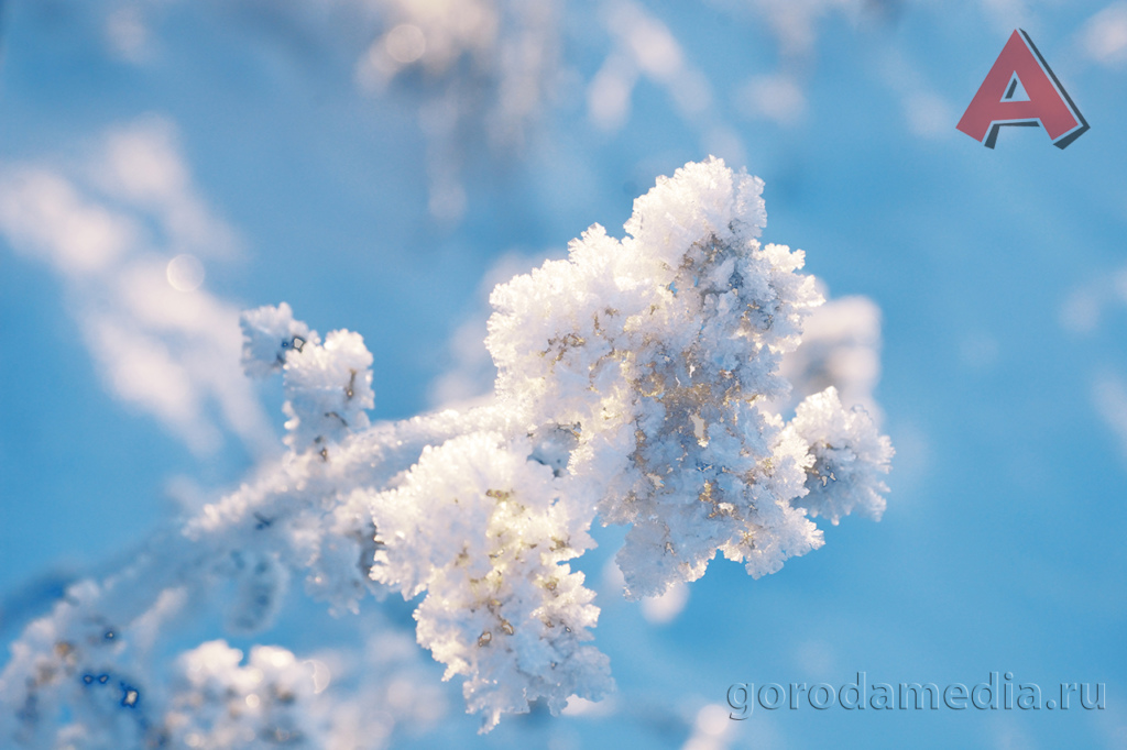 Зимой деревья и растения хоть и кажутся совсем обледенелыми, но дождутся весны, чтобы расцвести вновь, удивительно приспособившись к снежному покрову и холодам. Фото: Игорь Галиев